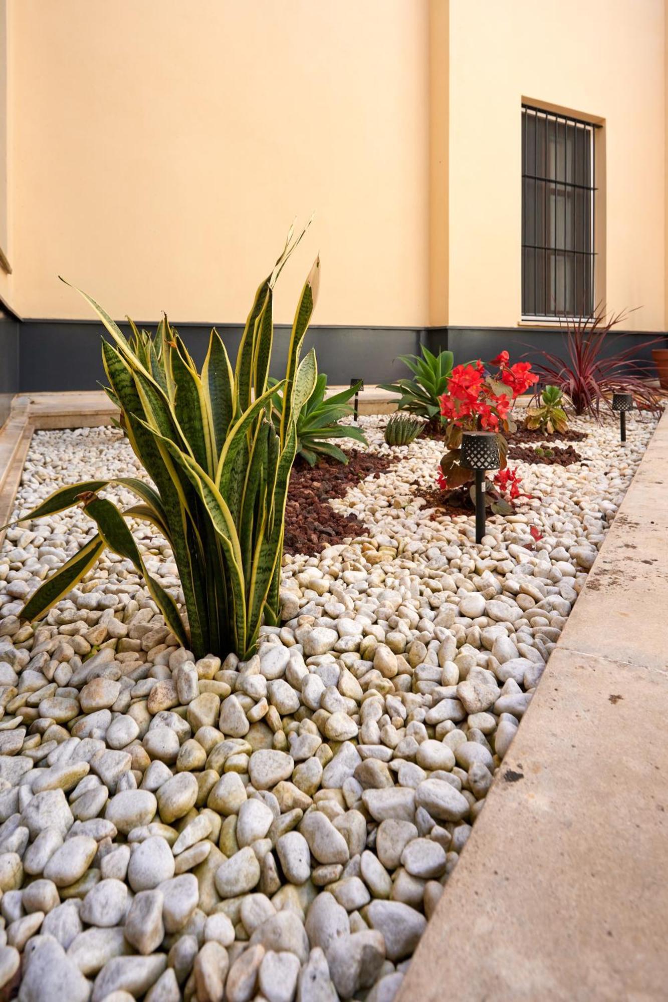 Apartamento Obispo Centro Jerez De La Frontera Exteriör bild